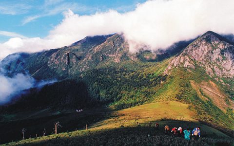 乐山市黑竹沟风景区