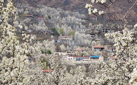 金川县