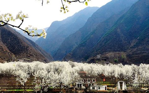 德胜世外梨园景区