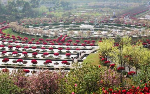 成都市花舞人间旅游景区