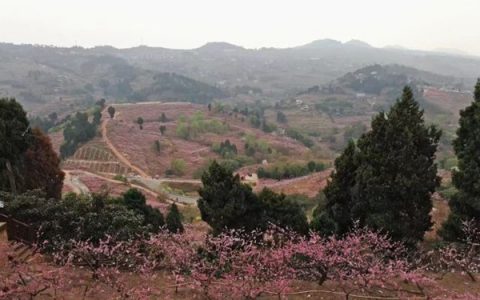 成都市桃花故里旅游景区