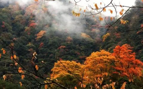 平武县老河沟景区